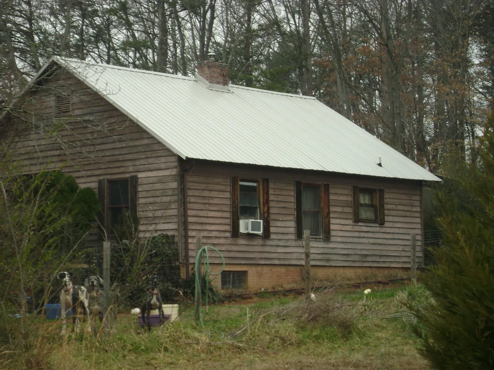 White metal roof on an old wood sided farmhouse, from a Asphalt Shingle Roof Repair job in Upsala